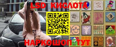 прущие грибы Будённовск
