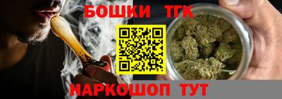 прущие грибы Будённовск