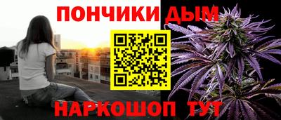 прущие грибы Будённовск