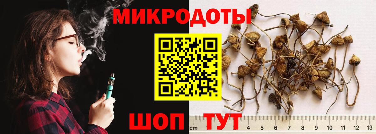 Галлюциногенные грибы GOLDEN TEACHER Усть-Илимск